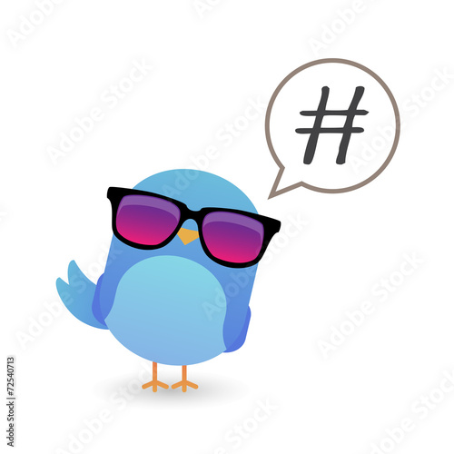 Blue bird with sunglasses