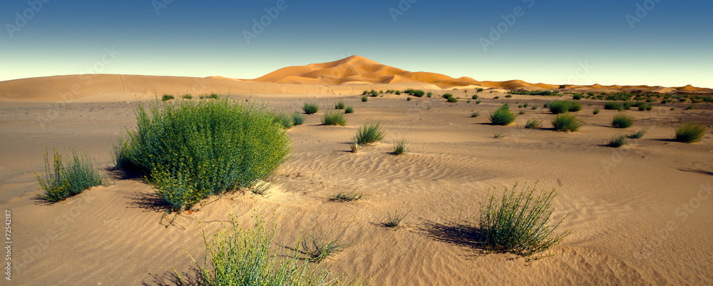Amazing panoramic view of Sahara desert in Morocco - obrazy, fototapety, plakaty 