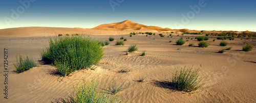 Amazing panoramic view of Sahara desert in Morocco