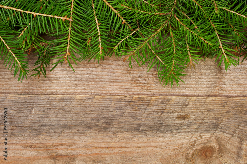 Christmas background with spruce branches Christmas background with spruce branches