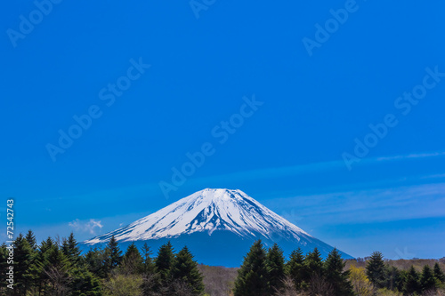 Green forest and Mount Fuji under the blue sky