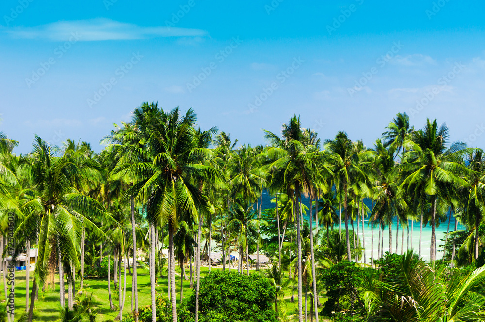 Naklejka premium Relaxation In Peace Jungle Landscape