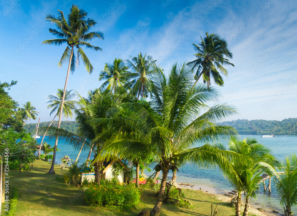 Coconut Coast Green Getaway