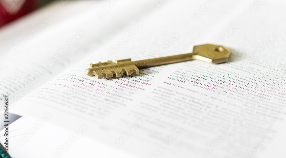 Golden key with word concept