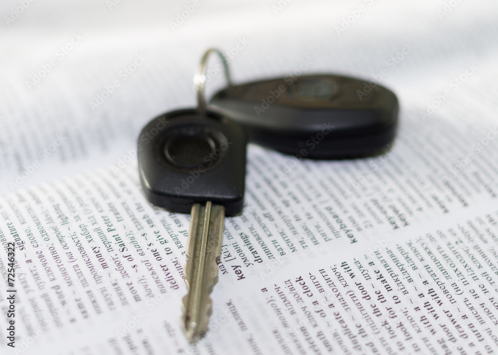 Car key concept