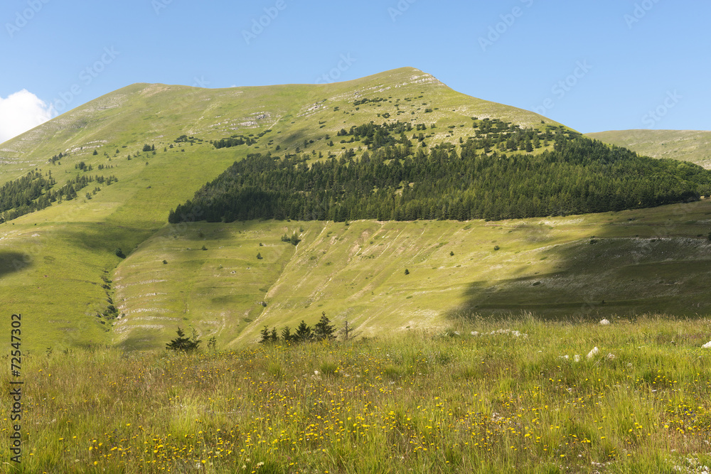 Fototapeta premium Piano Grande di Castelluccio (Italy)