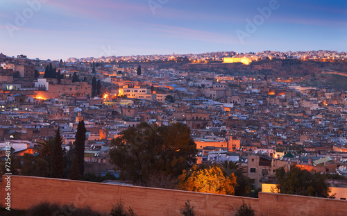 View of the old medina of Fez, Morocco