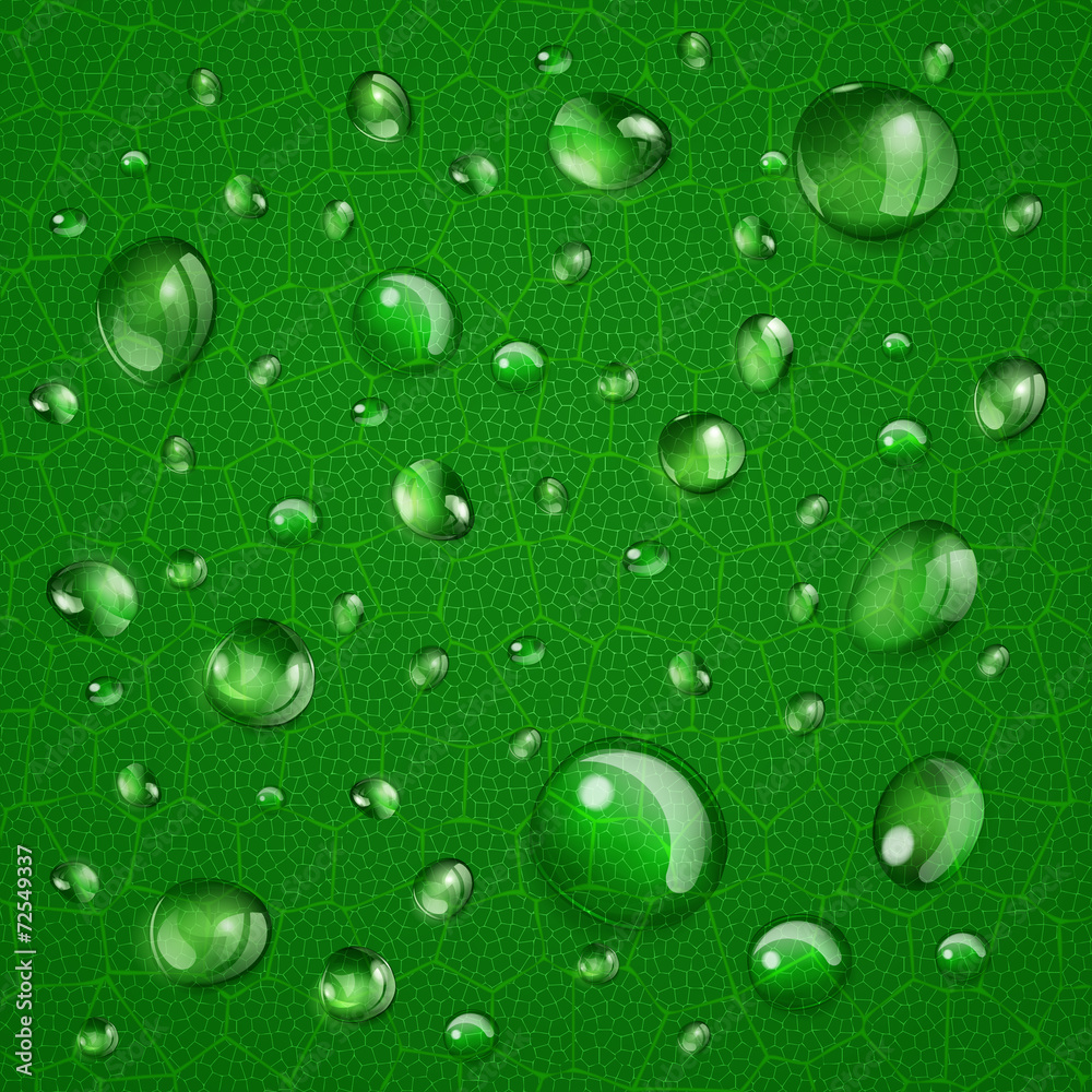 Background with drops on green leaf