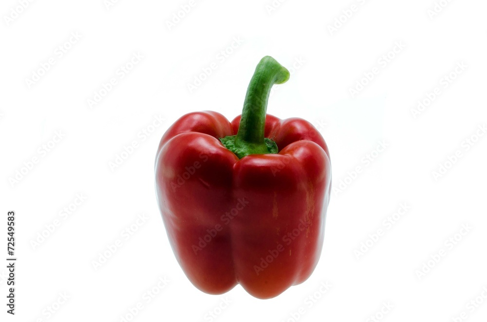 ripe red pepper in water drops close-up on white background