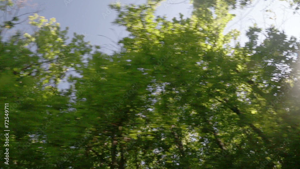 driving through green forest with sun behind the trees driving through green forest with sun behind the trees