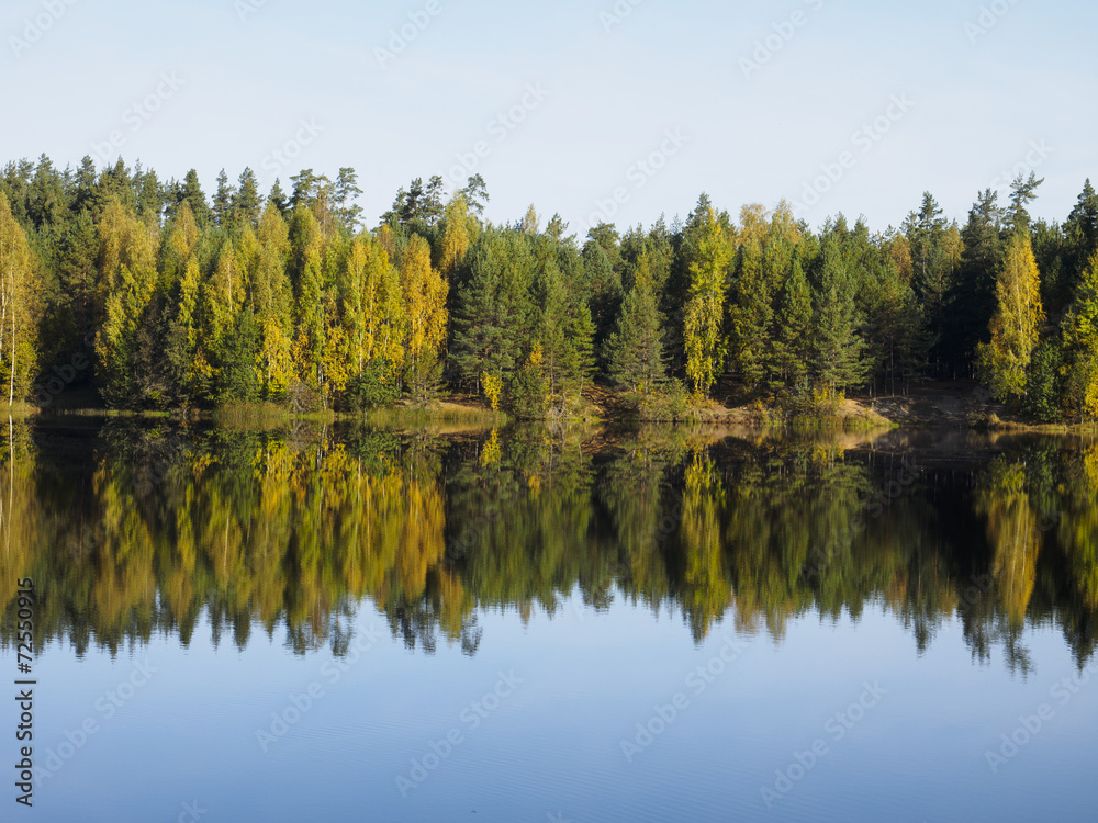 Reflection in the lake