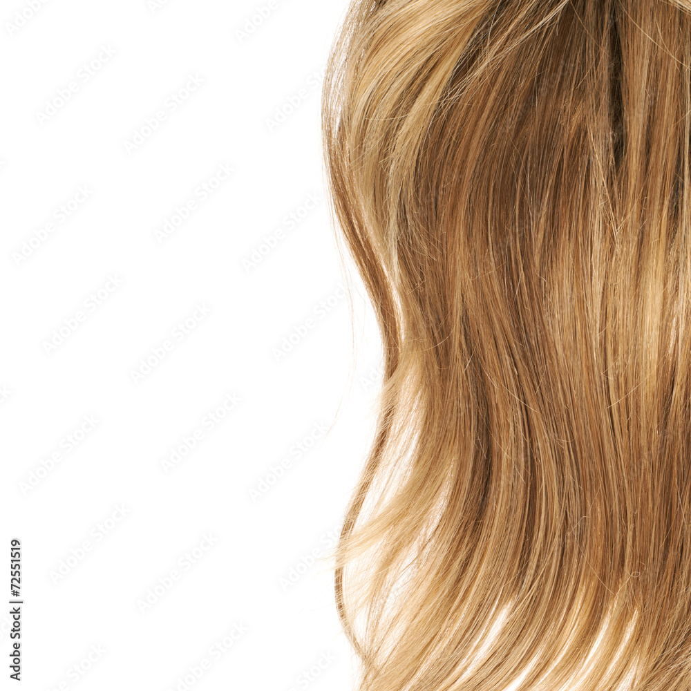 Hair fragment over the white Hair fragment over the white