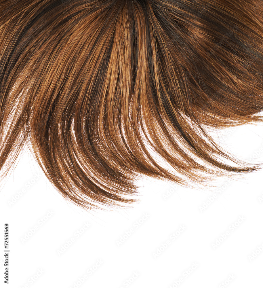 Hair fragment over the white Hair fragment over the white
