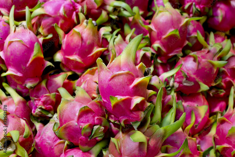 Dragon fruitbackground texture Dragon fruitbackground texture