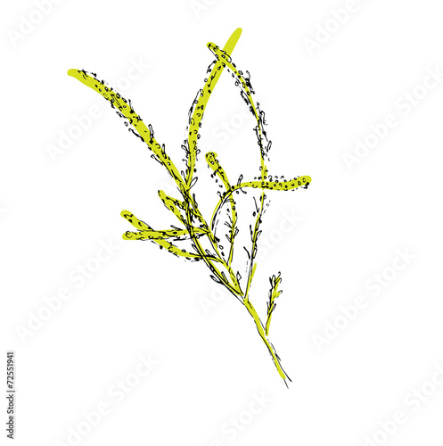 green branch of plant, vector