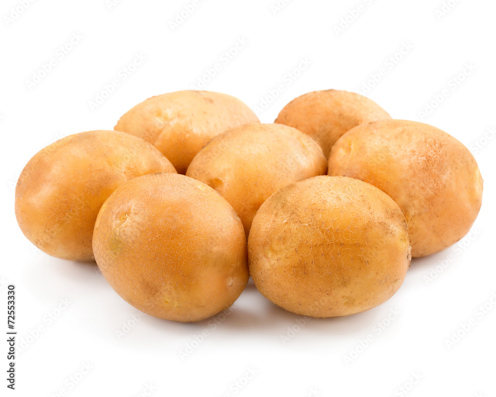 potato potato