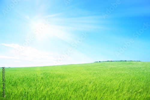 Prato verde con cielo azzurro e raggi di sole - pianeta verde photo