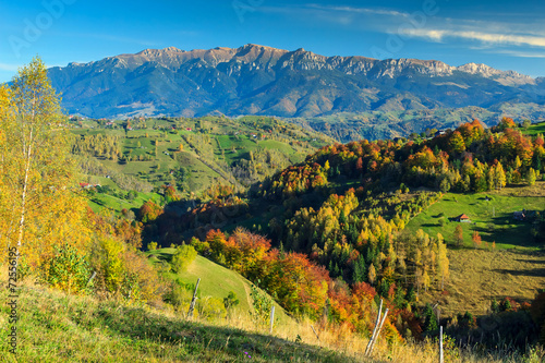 Green fields and colorful autumn forest,Magura village,Romania