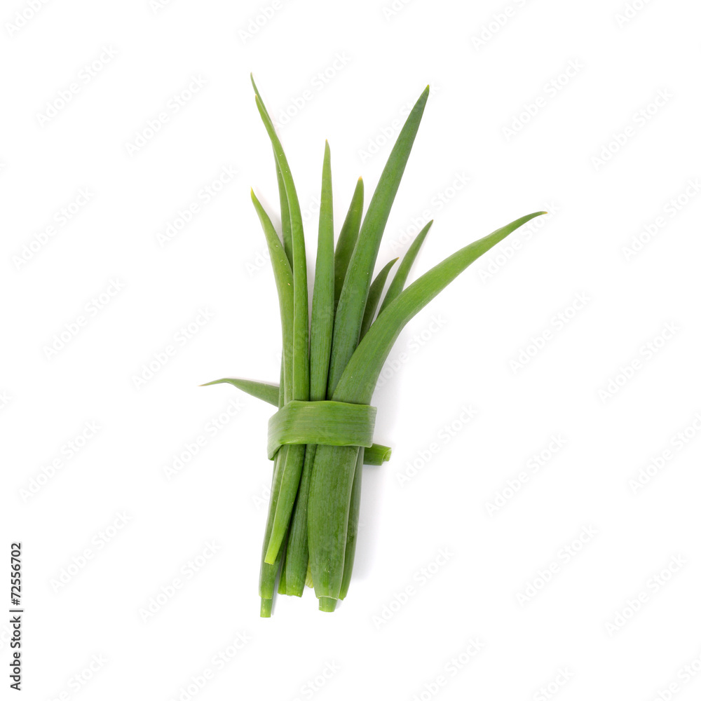 Fototapeta premium Green leek