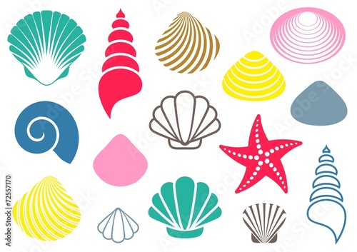 Sea shells