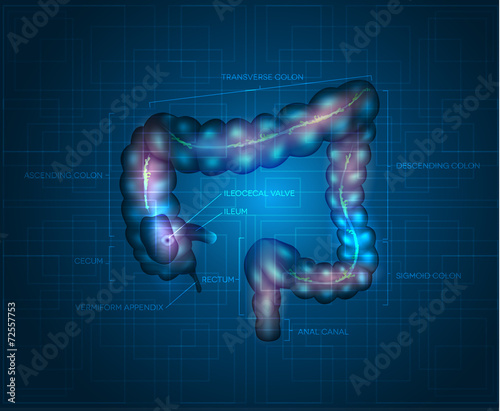 Human colon abstract blue background