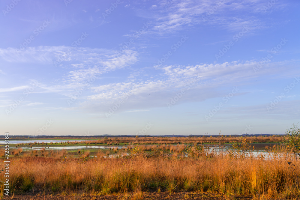 the moorland in the autumn the moorland in the autumn