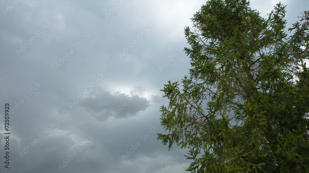 Gust before the rain Gust before the rain