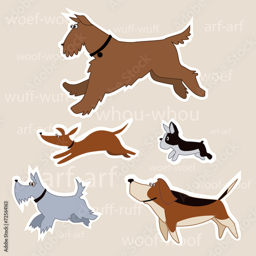 Cartoon dogs of different breeds isolated