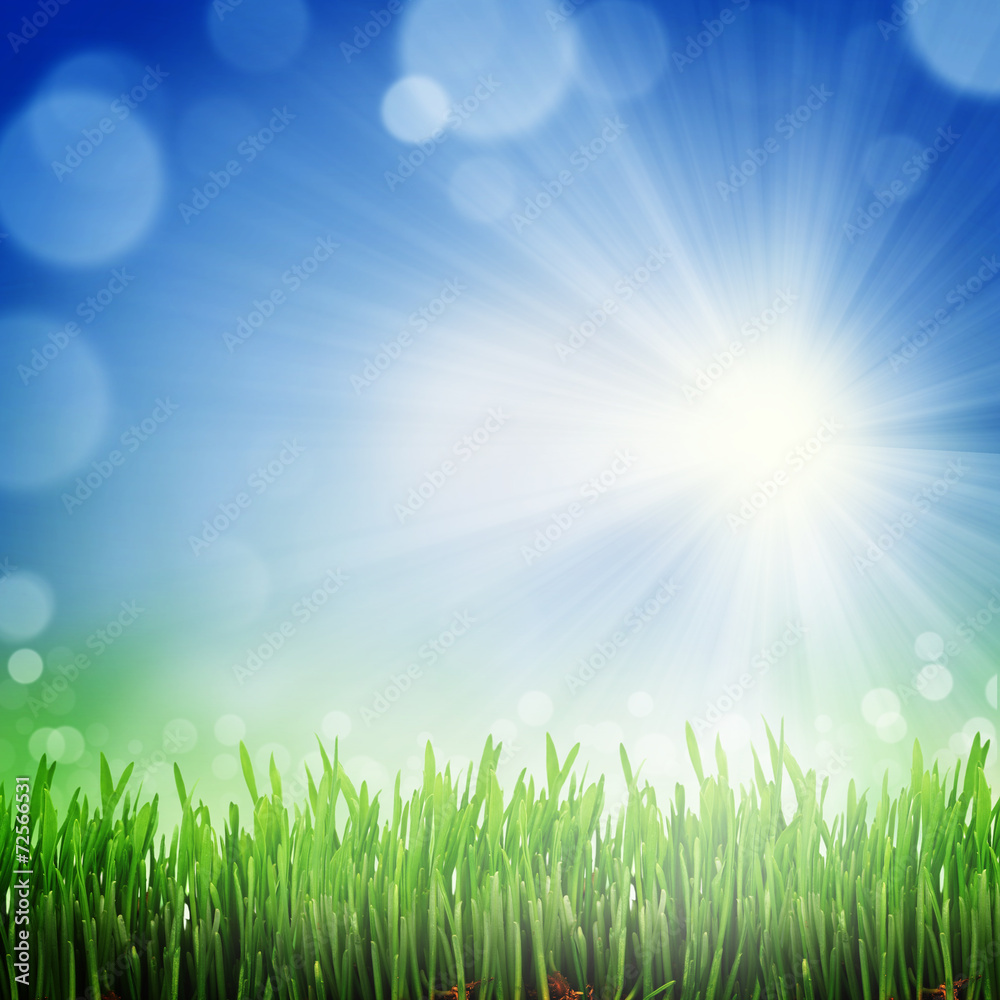 Naklejka zielony i niebieski streszczenie niewyraźne tło z promieni słonecznych