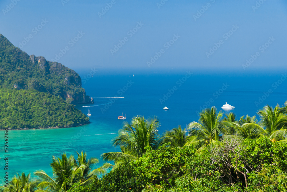 High Viewpoint Idyllic Panorama