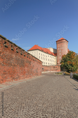 Cracow |  Wawel Castle #72567322