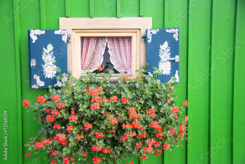Fototapeta Naklejka Na Ścianę i Meble -  Blumenfenster