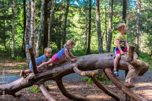 Siblings climbing on a big log in a forest photo