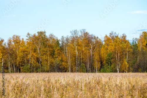 Autumn colored countryside landscape