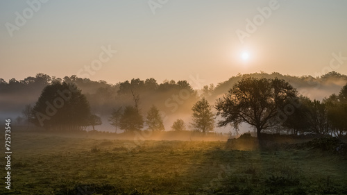 Sunrise, fog and trees landscape