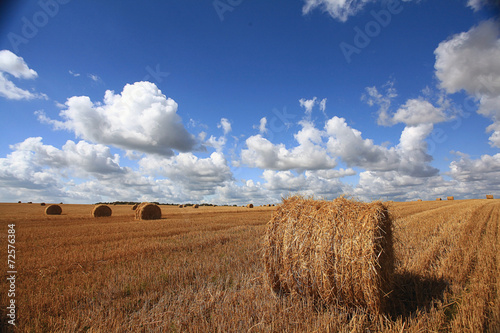 lay hay on field clouds sun