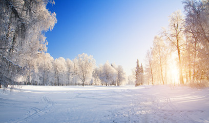 winter sunset