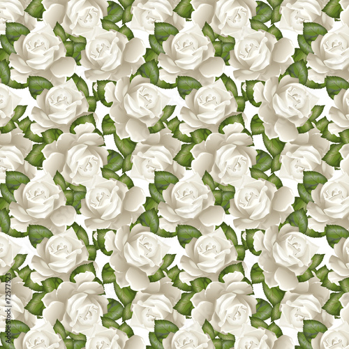Pattern Rose bianche
