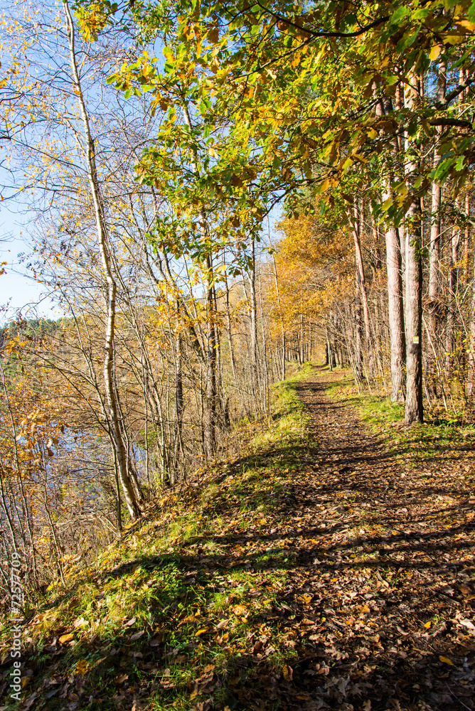Obraz premium autumn colored tourism trail in the woods