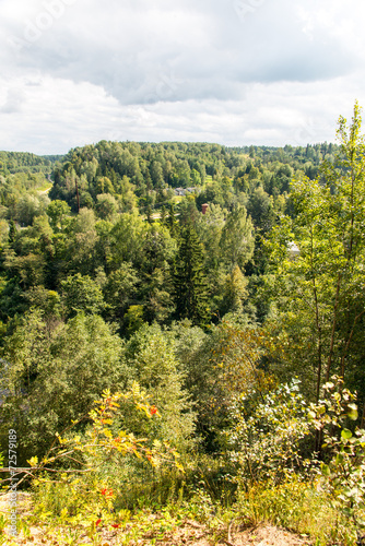 Fototapeta Naklejka Na Ścianę i Meble -  panoramic autumn landscape view