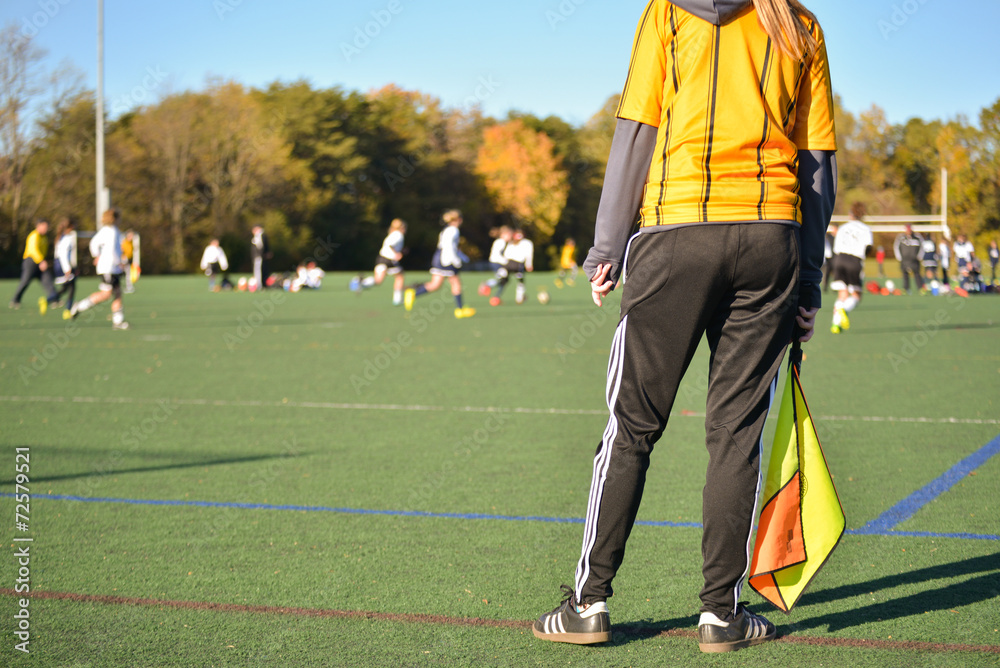 Obraz premium Lineswoman