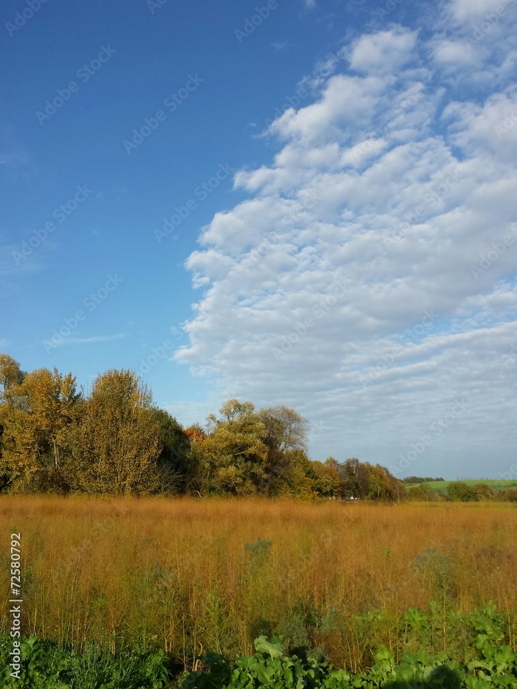 Herbstlandschaft mit blauem Himmel Hochkant Herbstlandschaft mit blauem Himmel Hochkant