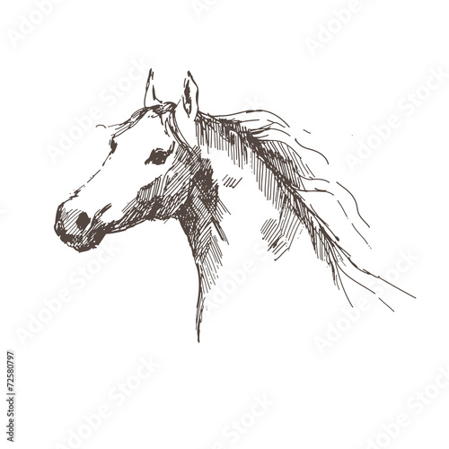 Hand drawn house sketch.