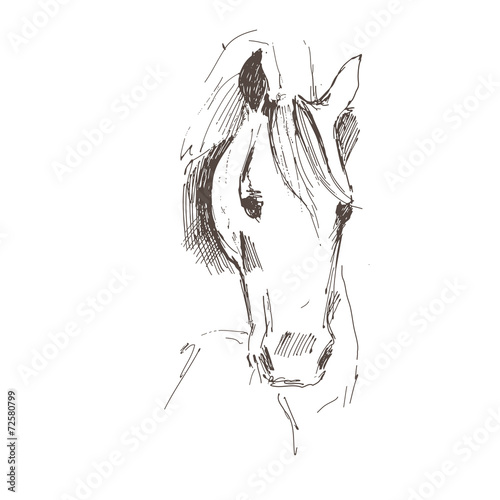 Hand drawn house sketch.