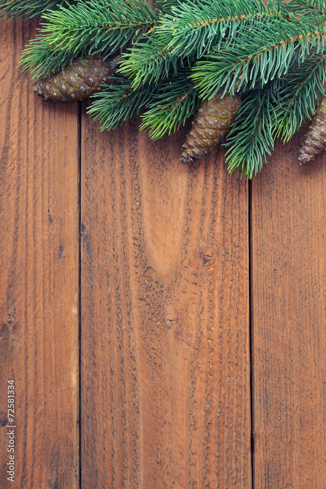 Fir tree branches Fir tree branches