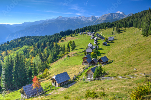 Planina Zajamniki Alpine Meadow in Bohinj