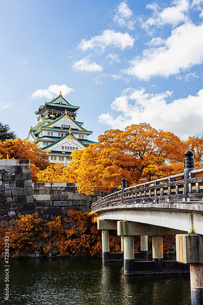 Fototapeta premium Japanese Castle with autumn leaves.