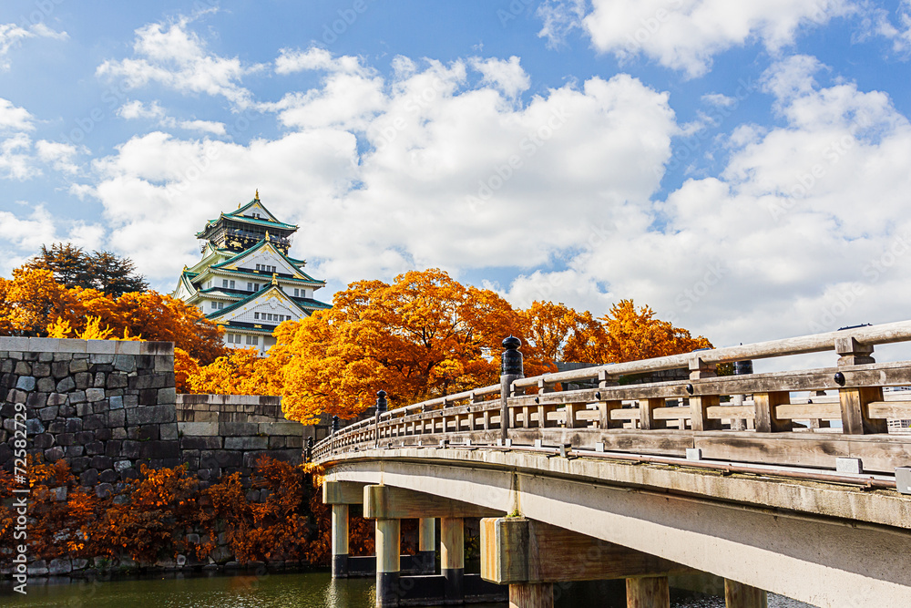 Fototapeta premium Japanese Castle with autumn leaves.