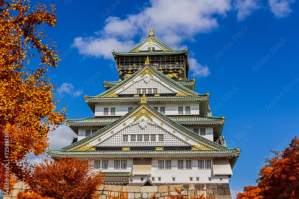 Fototapeta premium Japanese Castle with autumn leaves.