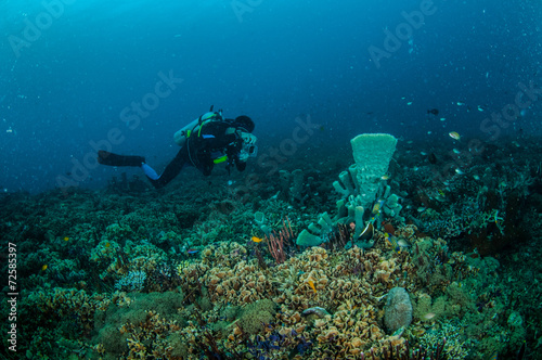 Diver, coral reefs, Gili, Lombok, Nusa Tenggara Barat underwater © fenkieandreas